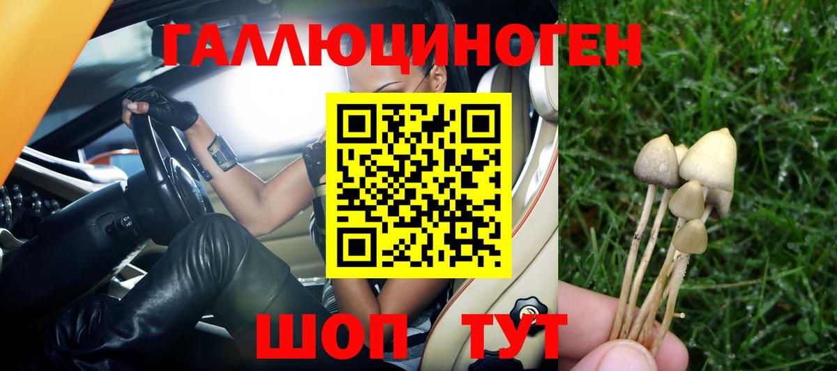Тюмень  Псилоцибиновые грибы Psilocybine cubensis  Вход с VPN 