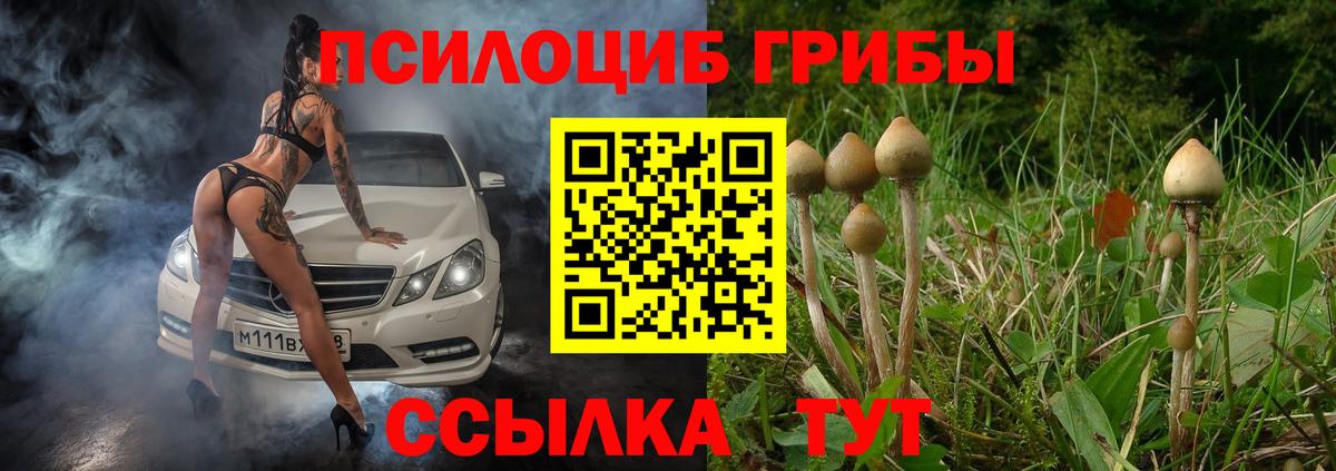 Псилоцибиновые грибы мухоморы Тюмень
